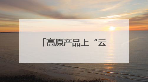 高原产品上“云”端——西藏电商发展一线观察