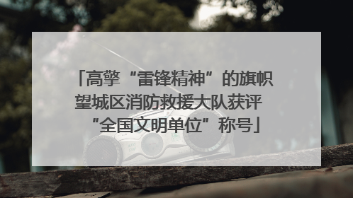 高擎“雷锋精神”的旗帜 望城区消防救援大队获评“全国文明单位”称号