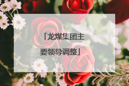 龙煤集团主要领导调整
