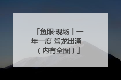鱼眼·现场丨一年一度 驾龙出涌（内有全图）