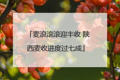 麦浪滚滚迎丰收 陕西麦收进度过七成