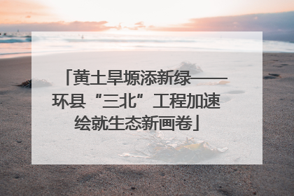 黄土旱塬添新绿——环县“三北”工程加速绘就生态新画卷