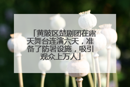 黄陂区楚剧团在露天舞台连演六天，准备了防暑设施，吸引观众上万人