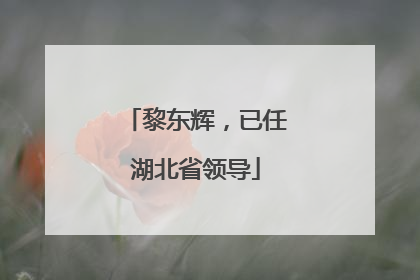 黎东辉，已任湖北省领导