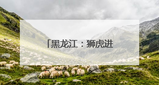 黑龙江：狮虎进入繁殖高峰期