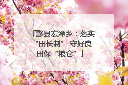 黟县宏潭乡：落实“田长制” 守好良田保“粮仓”