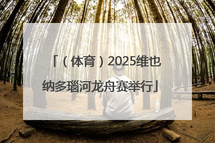 （体育）2025维也纳多瑙河龙舟赛举行