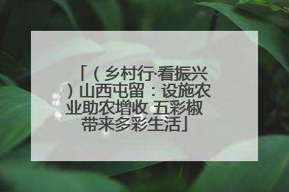 （乡村行·看振兴）山西屯留：设施农业助农增收 五彩椒带来多彩生活
