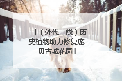 （外代二线）历史植物助力修复庞贝古城花园