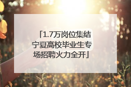 1.7万岗位集结 宁夏高校毕业生专场招聘火力全开