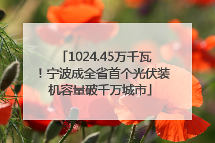 1024.45万千瓦！宁波成全省首个光伏装机容量破千万城市