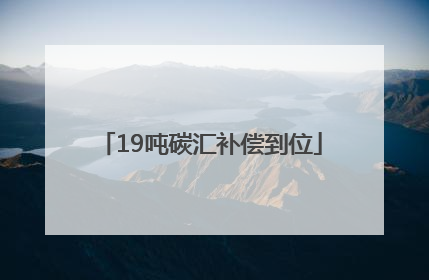 19吨碳汇补偿到位