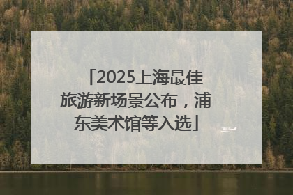 2025上海最佳旅游新场景公布，浦东美术馆等入选
