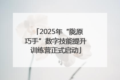 2025年“陇原巧手”数字技能提升训练营正式启动