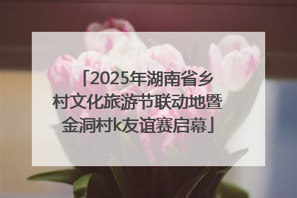 2025年湖南省乡村文化旅游节联动地暨金洞村k友谊赛启幕