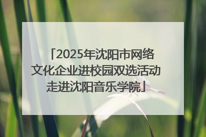 2025年沈阳市网络文化企业进校园双选活动走进沈阳音乐学院