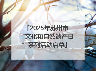 2025年苏州市“文化和自然遗产日”系列活动启幕