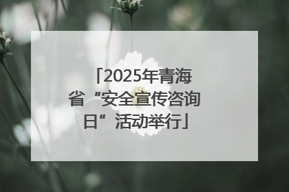 2025年青海省“安全宣传咨询日”活动举行