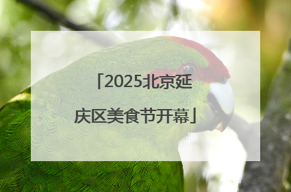 2025北京延庆区美食节开幕