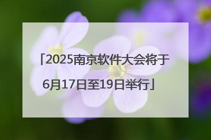 2025南京软件大会将于6月17日至19日举行