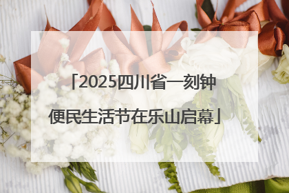 2025四川省一刻钟便民生活节在乐山启幕