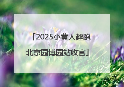 2025小黄人趣跑北京园博园站收官