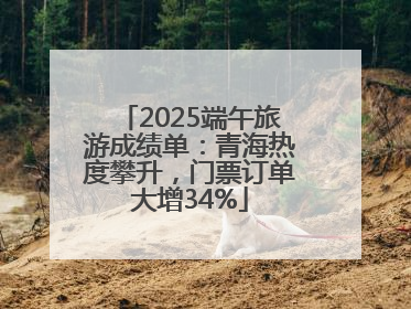 2025端午旅游成绩单：青海热度攀升，门票订单大增34%