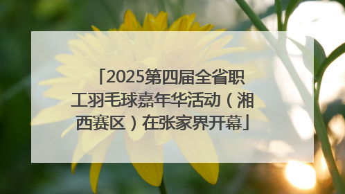 2025第四届全省职工羽毛球嘉年华活动（湘西赛区）在张家界开幕