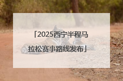 2025西宁半程马拉松赛事路线发布