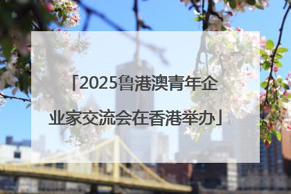 2025鲁港澳青年企业家交流会在香港举办