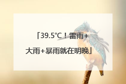 39.5℃！雷雨+大雨+暴雨就在明晚