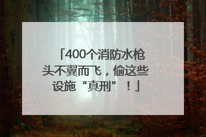 400个消防水枪头不翼而飞，偷这些设施“真刑”！