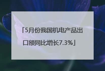 5月份我国机电产品出口额同比增长7.3%