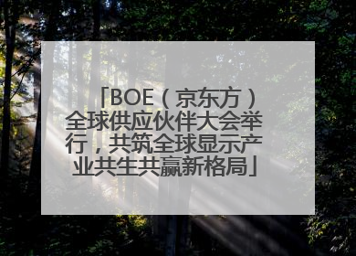 BOE（京东方）全球供应伙伴大会举行，共筑全球显示产业共生共赢新格局